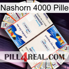 Rhino 4000 Pill kamagra1